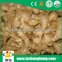 2014 new crop air-dried ginger for sale